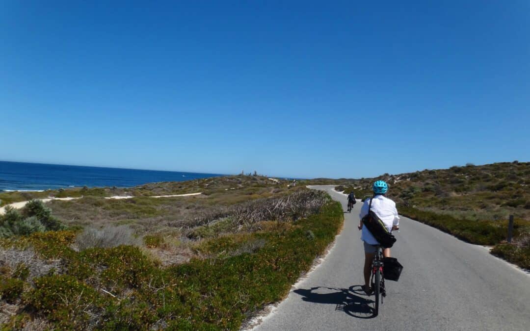 When a few interests stop a well-supported plan